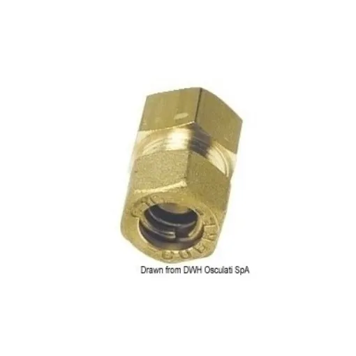 Picture of 1/4" to 8mm Compression joint female with olive - brass