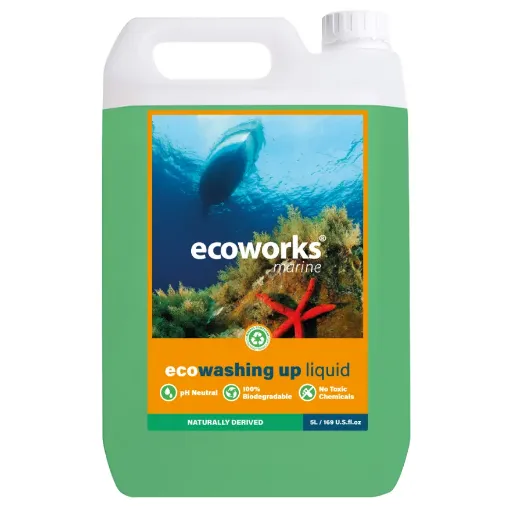 Picture of EcoWashing - up liquid - 5L - Ecoworks