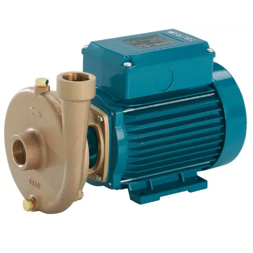 Picture of BC 22/A centrifugal pump with open impeller - 230V - F7161007000 - Calpeda