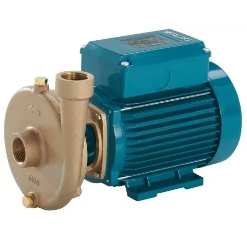 Picture of BCM 22/A close - coupled centrifugal pump - 230V - F7171007000 - Calpeda