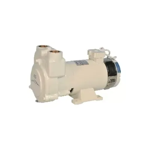 Picture of Liquid ring pump CP30/A1 230V - 01ACP302A1 - Gianneschi