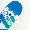 Picture of 31'' Blue Triangle skateboard complete set - Fish