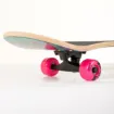 Picture of 31'' Lion Lady skateboard complete set - Fish