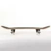 Picture of 31'' Wolf skateboard complete set - Fish