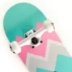 Picture of 31'' Elegant skateboard complete set - Fish