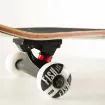 Picture of 31'' Fall skateboard complete set - Fish