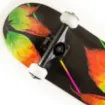 Picture of 31'' Fall skateboard complete set - Fish