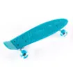 Picture of 22.5” Mini cruiser skateboard blue with LED wheels complete set - Fish