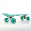 Picture of 22.5” Mini cruiser skateboard Veraman with LED wheels complete set - Fish