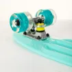 Picture of 22.5” Mini cruiser skateboard Veraman with LED wheels complete set - Fish