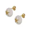 Picture of Silver earrings with gold plated sea urchins - Nauticalgifts