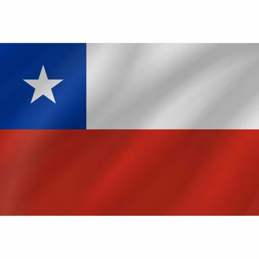 Picture of Courtesy Flag - Chile