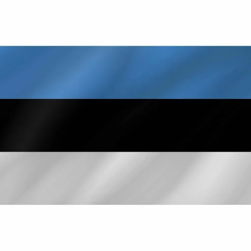 Picture of Courtesy Flag - Estonia