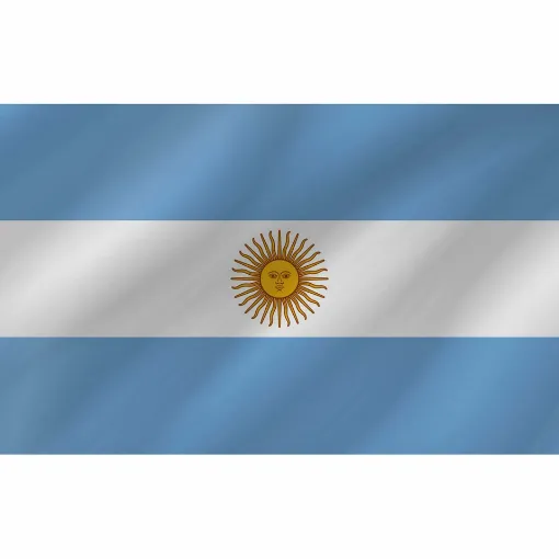 Picture of Courtesy Flag - Argentina (X)