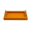 Picture of Collection Madeline Rectangular Tray With Golden Brass Handles - Covered In Orange Grained Leather - Small Size - 30cm x  20cm x  3,5cm - Frame 2.5cm - Weight : 950 Gr - Gordon & Gaia