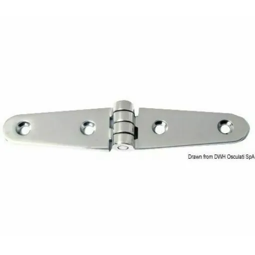 Picture of Mirror polished stainless steel "long wing" fused hinge.