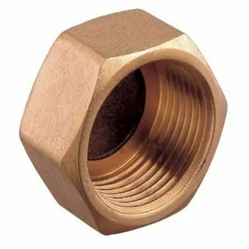 Picture of 1 1/4" Female Bronze Plug