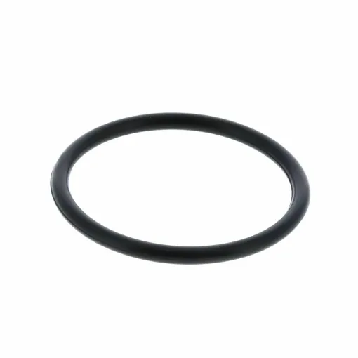 Picture of O-Ring Low Pressure Filter Gasket