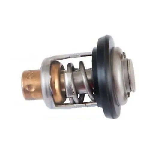 Picture of Thermostatic Valve