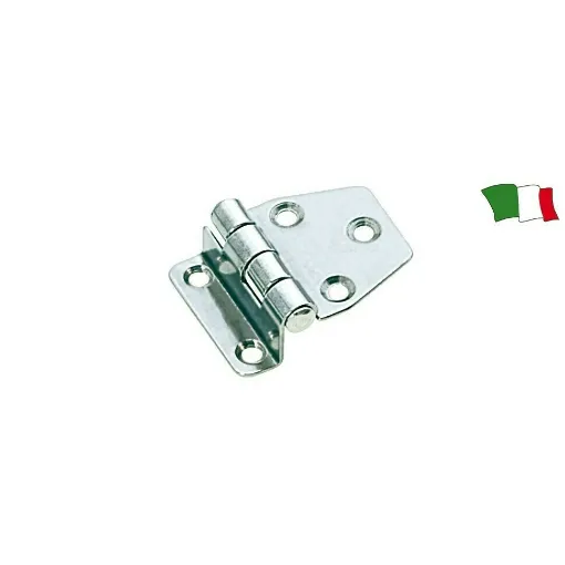 Picture of 316 mm Swing Hinge Stainless Steel. 66 X 40 X 2