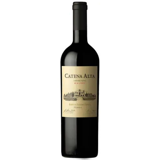 Picture of Catena Zapata - Catena Alta - Malbec