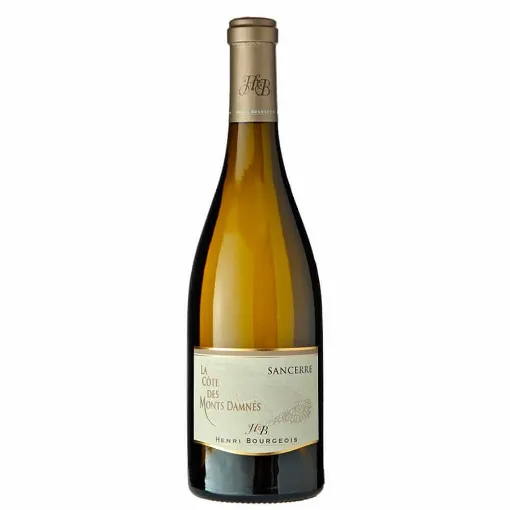 Picture of Henri Bourgeois - Sancerre - Côte Des Monts Damnés