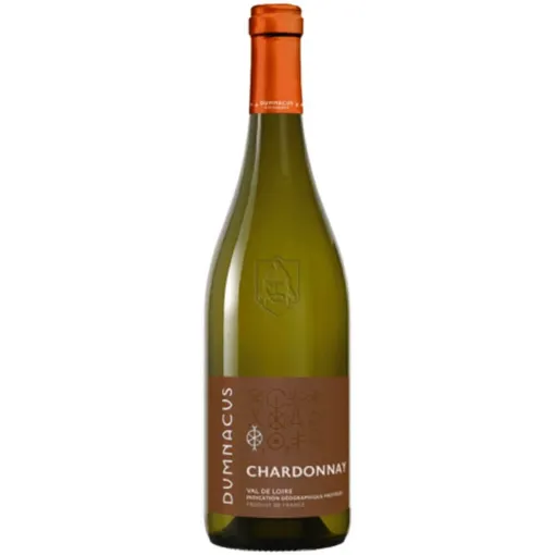 Picture of Dumnacus Vignerons - Loire Rebelle - Chardonnay