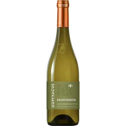 Picture of Dumnacus Vignerons - Loire Rebelle - Sauvignon Blanc