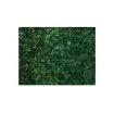 Picture of Trellis virgin vine leaves JET7GARDEN 1 00x2 00m - green