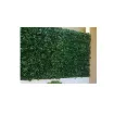 Picture of Trellis virgin vine leaves JET7GARDEN 1 00x2 00m - green