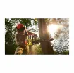 Ryobi - 36V LithiumPlus Brushless Chainsaw - RY36CSX35A-0 product image