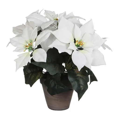 Picture of Artificial white Easter plants - poinsettia 27x35cm