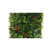 Jet7garden - Artificial Foliage Wall Panels Red Robin - J7GREDROB product image