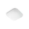 Picture of LED indoor ceiling light PHILIPS - 32 2cm - 17W - 2000 lumens - 4000K - 93508