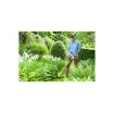 Ryobi - Grass Trimmer 18V One+ Edger - OLT1832 product image