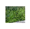 Picture of Trellis rose leaves JET7GARDEN 1 00x2 00m - soft green