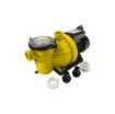 Picture of Self-priming centrifugal pump MAREVA Eco-Premium with pre-filter - 0.75 HP - 608003