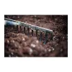 Terre-Terre Potting Soil - The Base - 5L product image