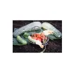 Terre-Terre Potting Soil - The Base - 5L product image