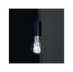Kaze univers connecté - Connected LED Filament Bulb A60 - 409736 product image