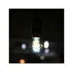 Kaze univers connecté - Connected LED Filament Bulb A60 - 409736 product image