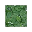 Jet7garden - Rosy Veined Clip-On Square Tiles - J7GRVEINE product image