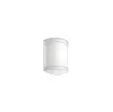 Picture of PHILIPS LED outdoor wall light - 26 9cm - 6W - 600 lumens - 4000K - white - 93527