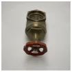 Picture of Guidi bronze series 5 inch gate valve 1522#200014