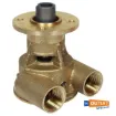 Picture of Johnson SPX Flow F5B-9005 bronze impeller cooling water pump flange mounting