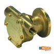 Picture of Johnson SPX Flow F4B-9 bronze impeller cooling water pump flange mounting