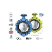 Picture of Ghibson BLPD DN80 GJS400 butterfly valve