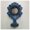 Picture of Ghibson BLPD DN80 GJS400 butterfly valve