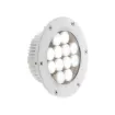 Picture of Foresti Suardi 8800.C 3200K power LED deck light stainless steel