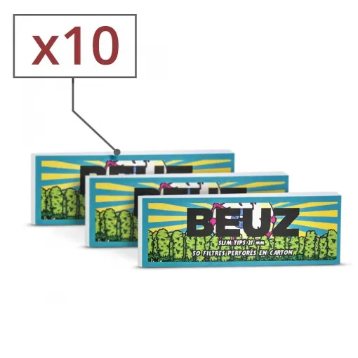 Picture of Beuz Perforated Cardboard Filters X 10